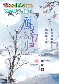 雁南归100集免费看